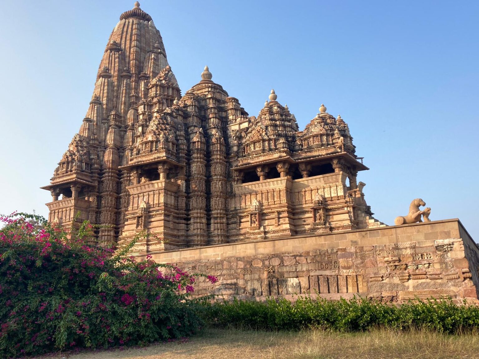 WhatsApp Image 2021-01-03 at 10.55.25 AM