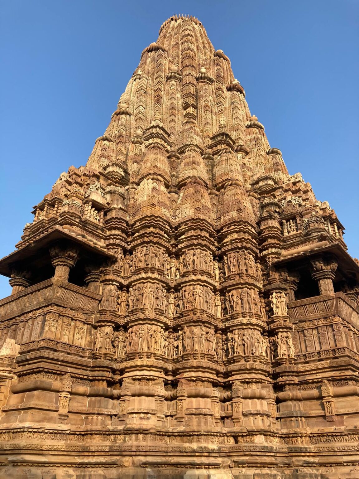 WhatsApp Image 2021-01-03 at 10.55.24 AM