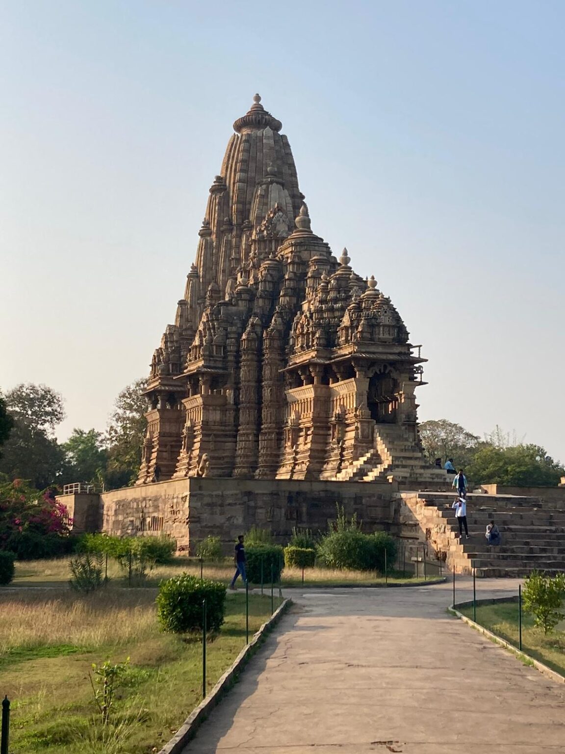 WhatsApp Image 2021-01-03 at 10.55.23 AM