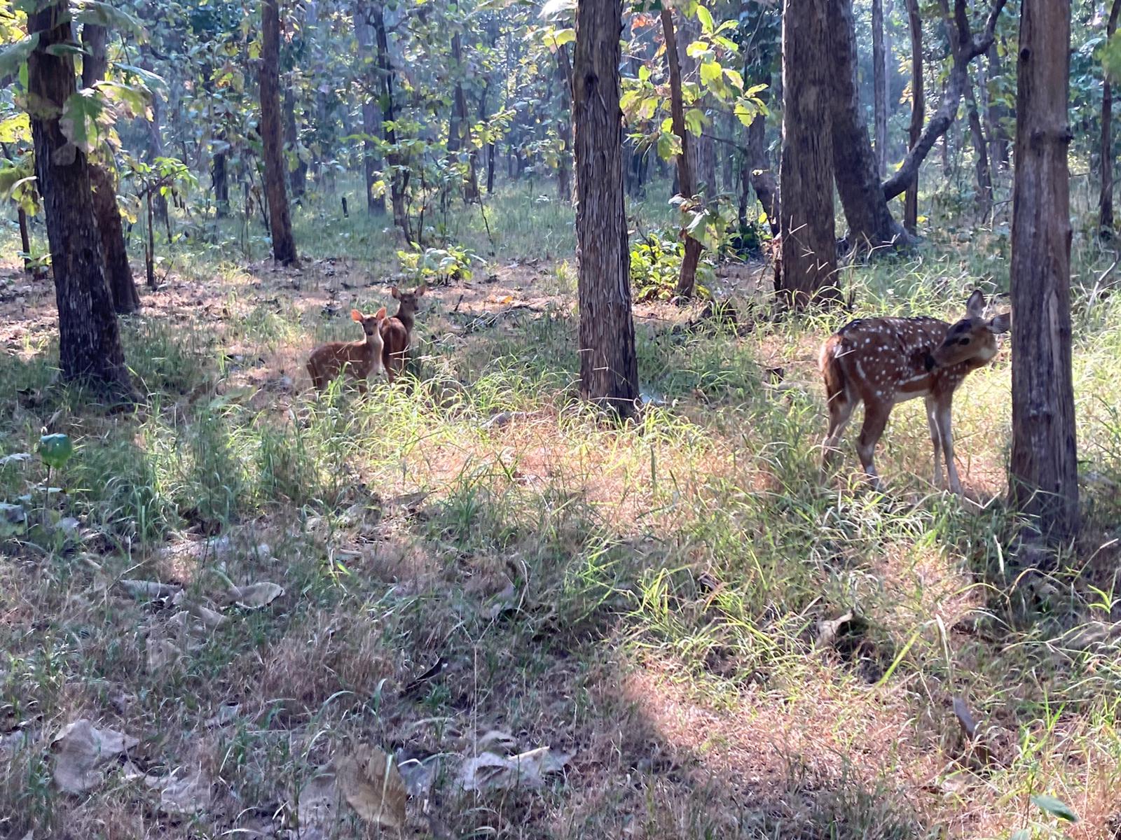 WhatsApp Image 2021-01-03 at 10.55.17 AM