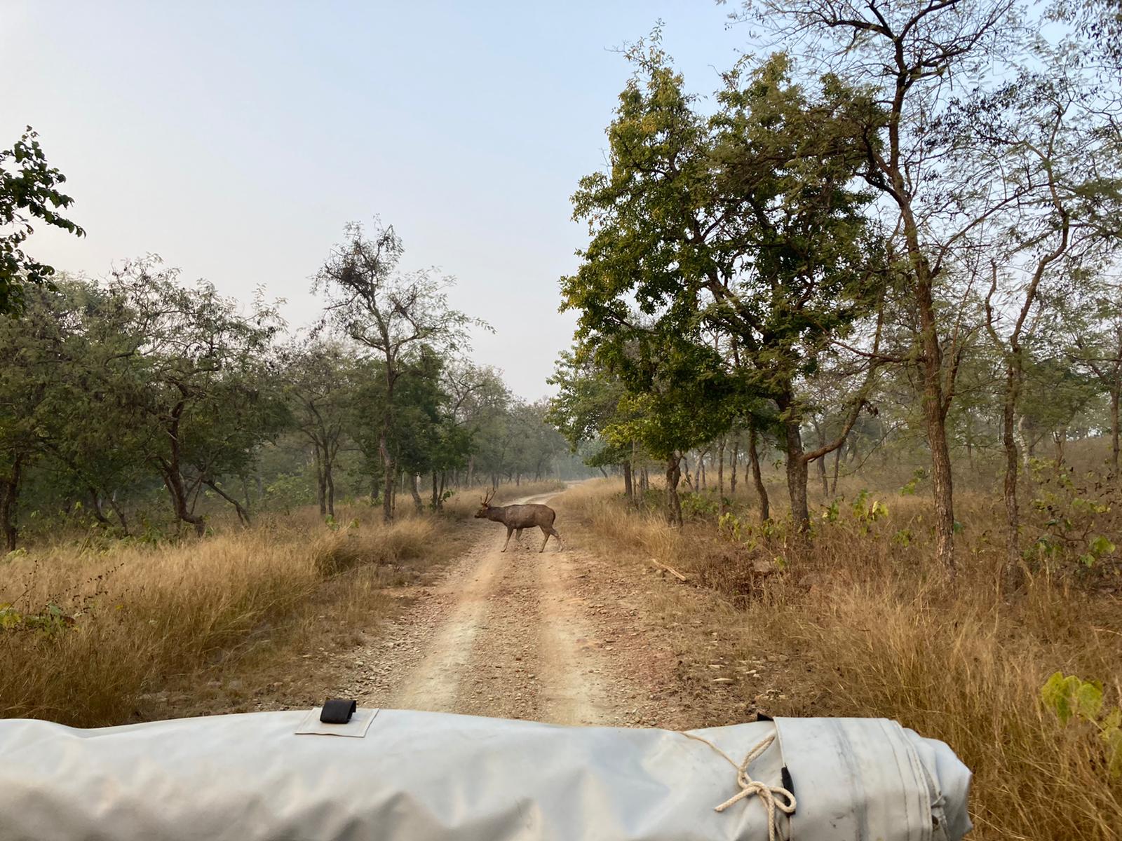 WhatsApp Image 2021-01-03 at 10.55.20 AM