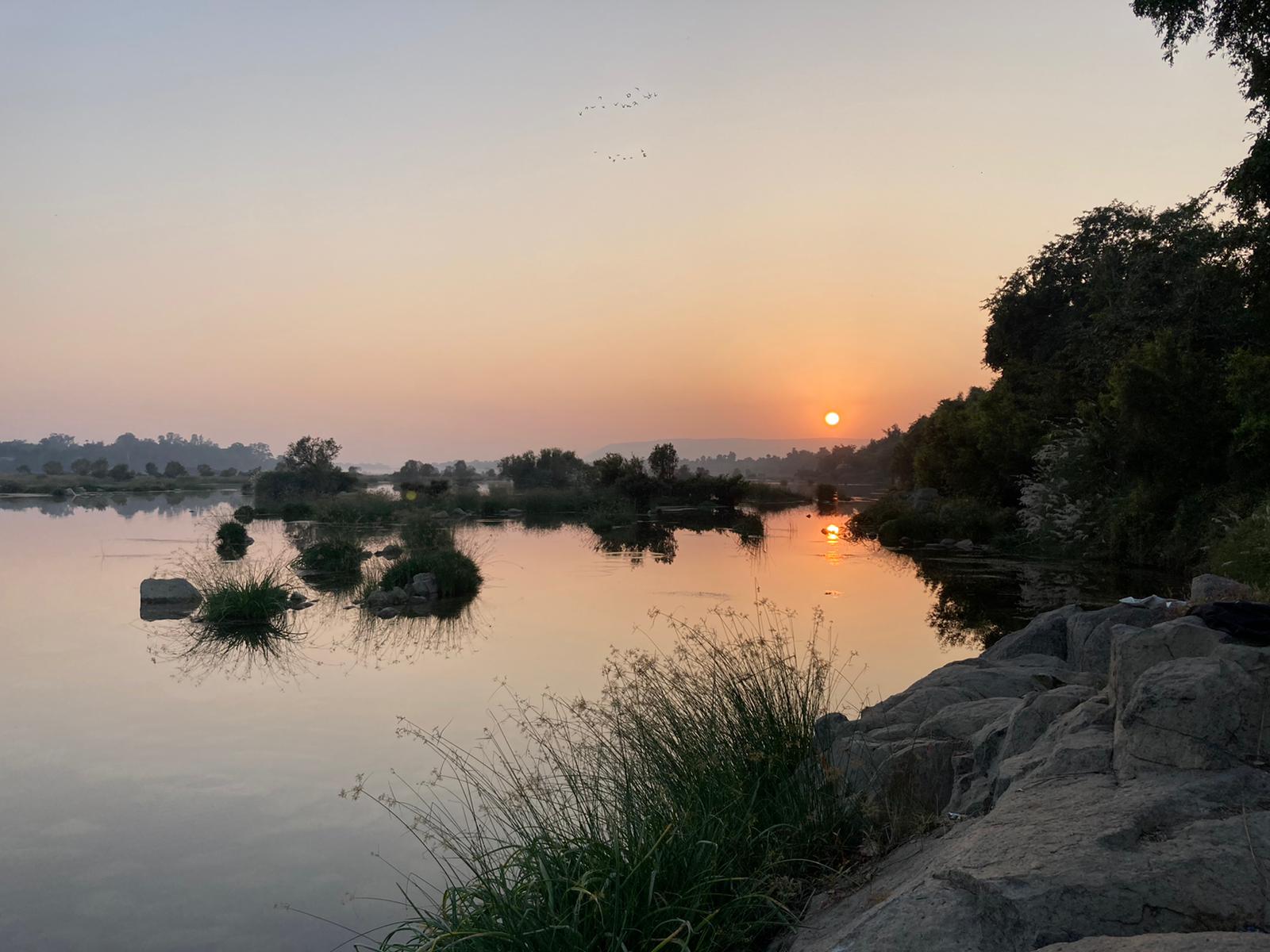 WhatsApp Image 2021-01-03 at 10.55.16 AM